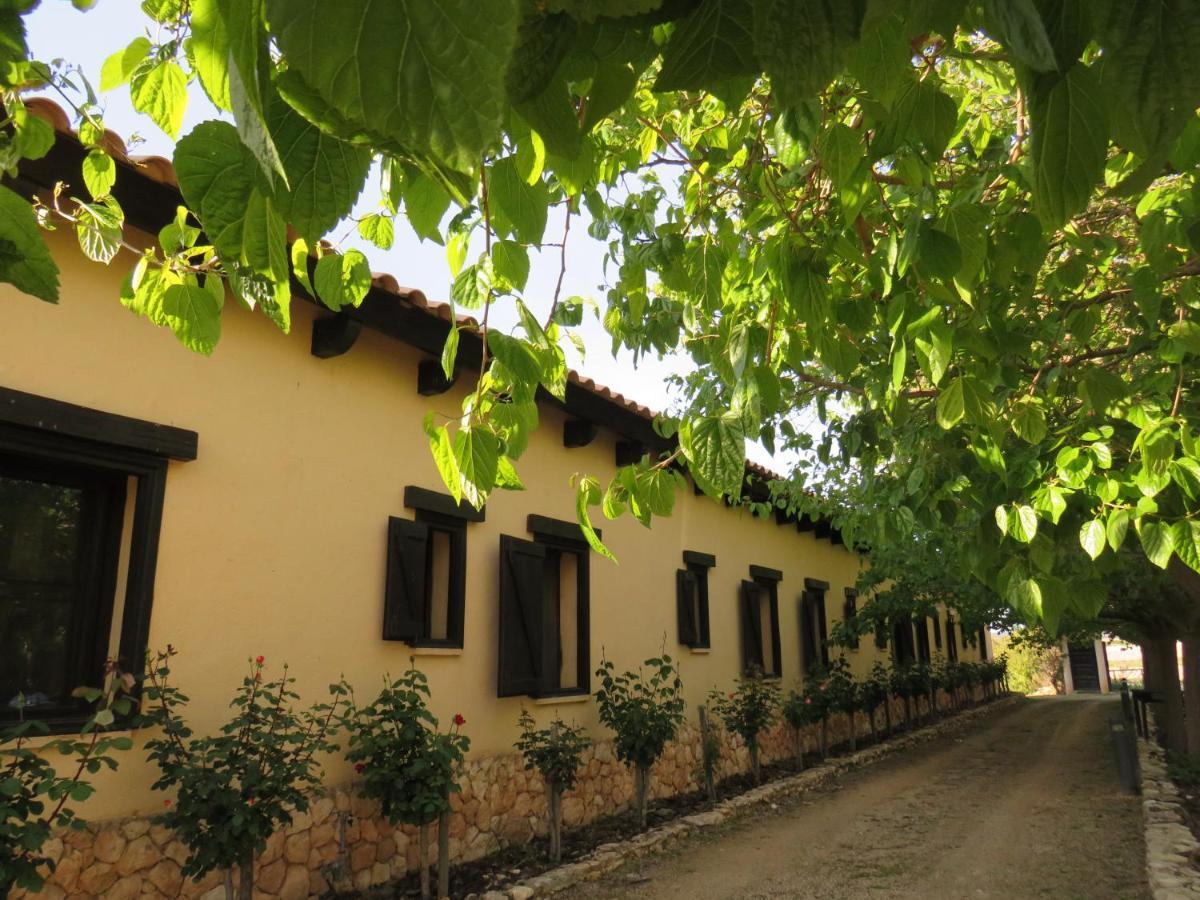 Hotel Enoturismo Mainetes Fuente-Alamo  Exterior photo